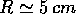 tex2html_wrap_inline1065